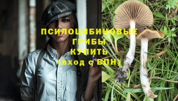 гидра Алексин