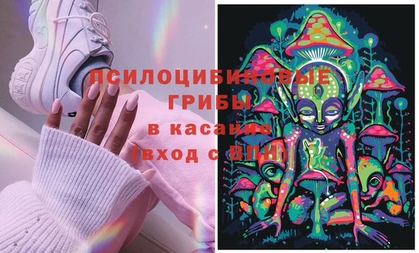 прущий лед Алзамай