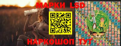 молекула духа Пугачёв