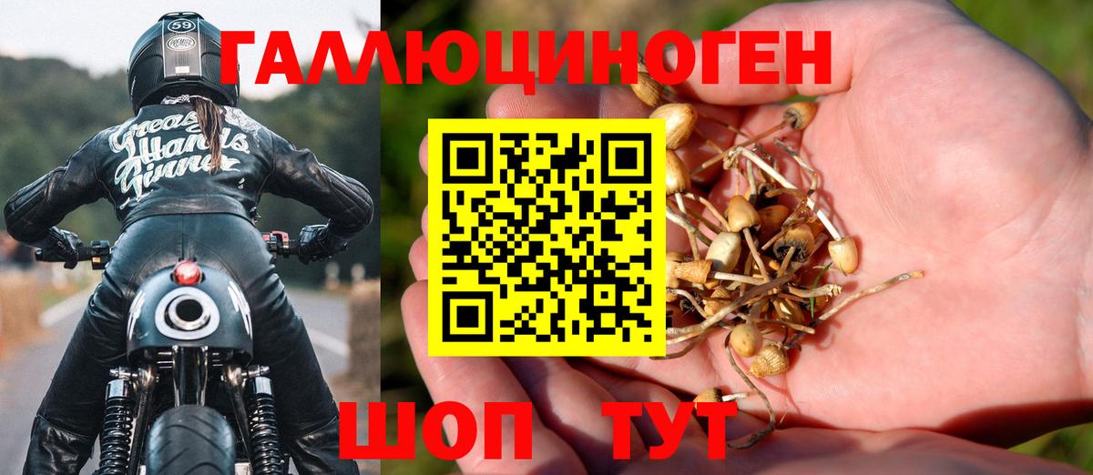 Псилоцибиновые грибы Cubensis  закладки  Галлюциногенные грибы Psilocybe  Симферополь  Вход с VPN 