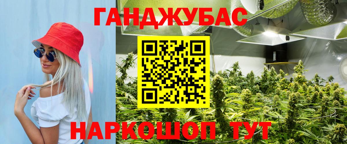 Канабис OG Kush Симферополь